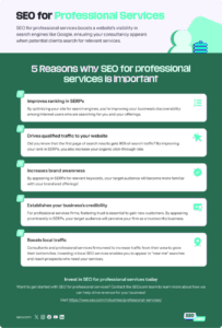 seo for professional services infographic