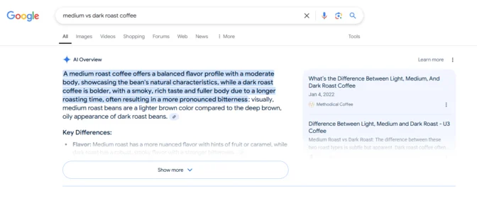 Google AI Overview example