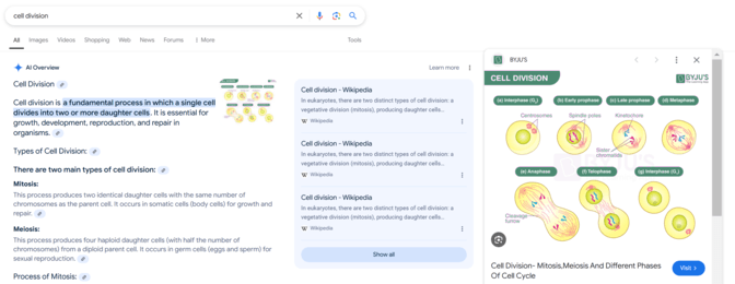 AI Overview with image