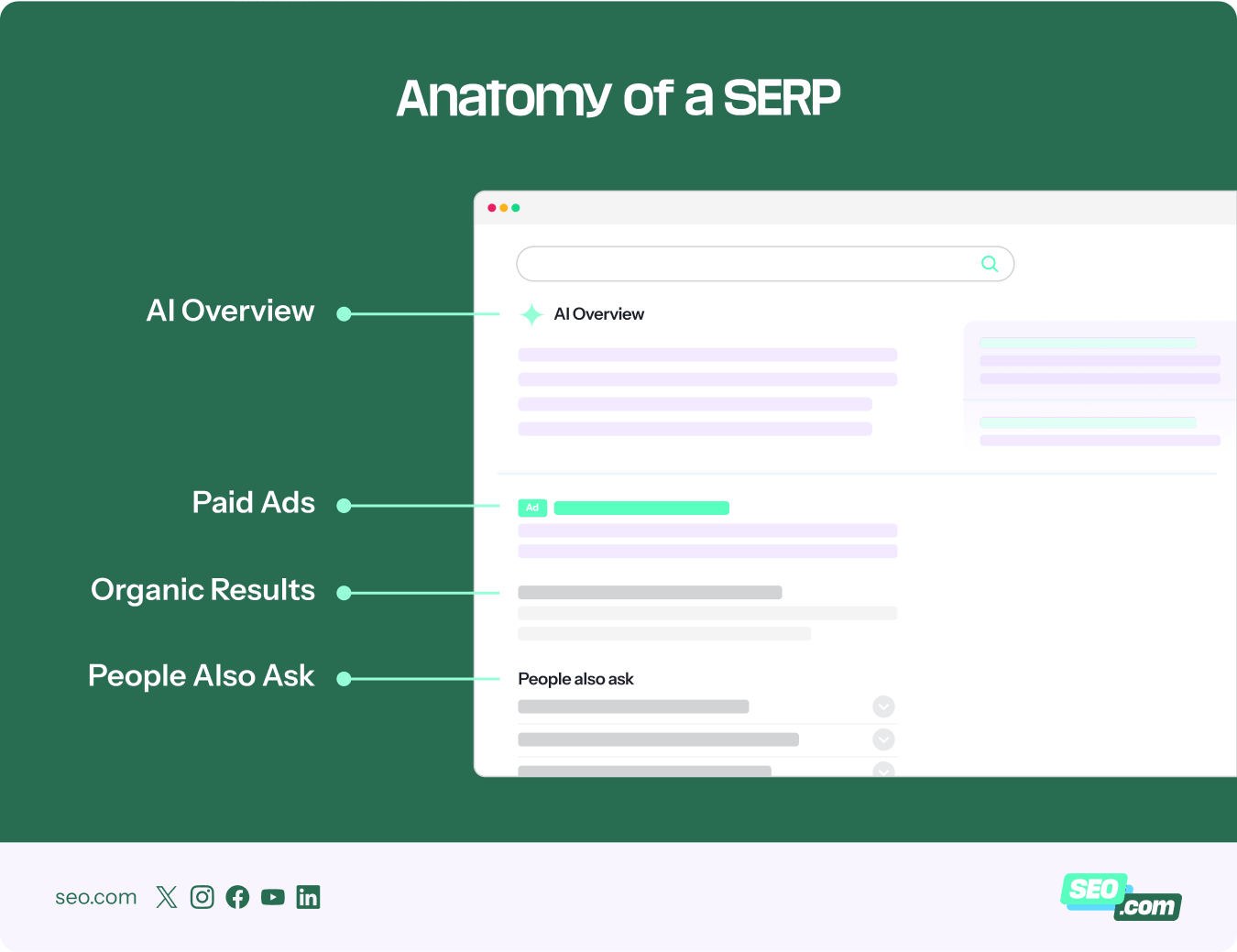 anatomy of a serp